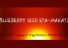 blueberry seed spa makati city massage philippines manila image1