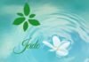 jade wellness and beauty center massage spa baguio